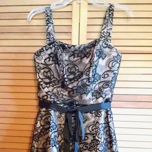 Bravissimo Pepperberry Lace Overlay Party Dress